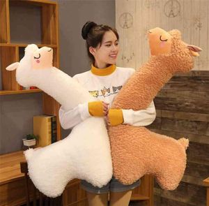 Mignon alpaga en peluche jouet japonais sommeil oreiller doux en peluche mouton lama Animal coussin poupées maison lit décor cadeau 2107288467590