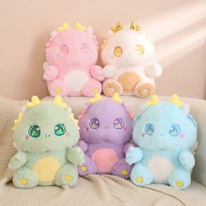 Mignon dessin animé petit Dragon en peluche poupée fille mignon cadeau d'anniversaire zodiaque Dragon cadeau poupée Dragon année Dol