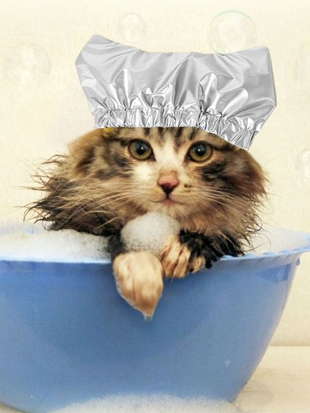 Baignoire de chat mignon étanche de douche de douche de douche animaux