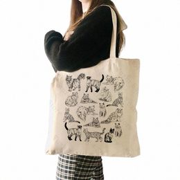 Sac fourre-tout en toile à motif de chat mignon, sacs de boutique pour femmes, sacs d'art de style rétro vintage, cadeau d'amant de chat, sac de boutique de grande capacité N4PK #