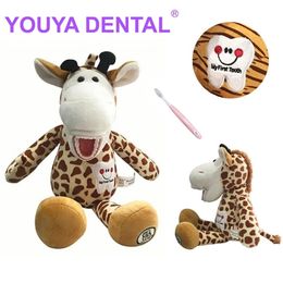 Linda muñeca de felpa dental con modelo de diente adecuado para niños aprendiendo pincel educativo llenado suave de juguete clínica dental región 240509