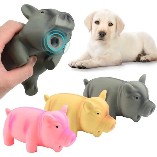 Jouette à mâcher mignon Toys Rubber Sound Pig Grugting Squek Latex Pet pour Squeaker Training Puppy Supplies Products 240328