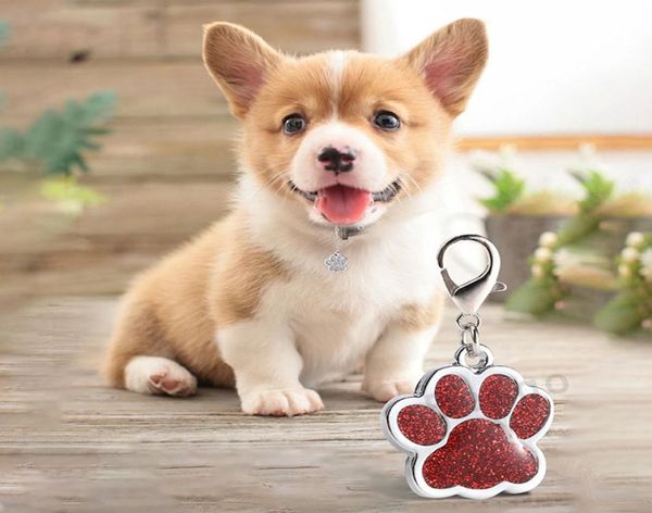 Migne de chien PAW PAW Nom de balise de compagnie Clé de marque Carte d'identité d'anneau Keychain Metal Puppy Cat Neclant Pendentif Penseur entièrement 6 couleurs DBC BH3031578