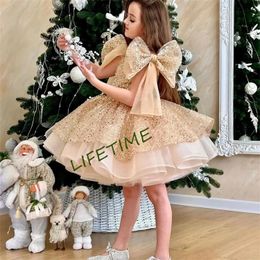 Robe fleurie mignonne robe paillette broderie paillette princesse pleine manche robe d'anniversaire enfant de Noël 112t filles costumes 240517