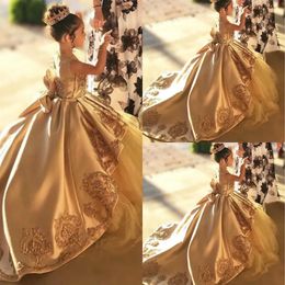 Schattige gouden meisjes jurken applices mouwloze kanten appliques optocht jurken bloemen een lijn bloemenmeisje gastheer verjaardag jurk