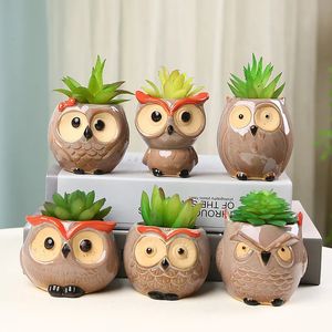 Chouette mignonne en céramique de fleur de fleur jardin de bureau décoration succulente mini hibou flowerpot mignon animal fleuriste cactus plants planteurs 240424