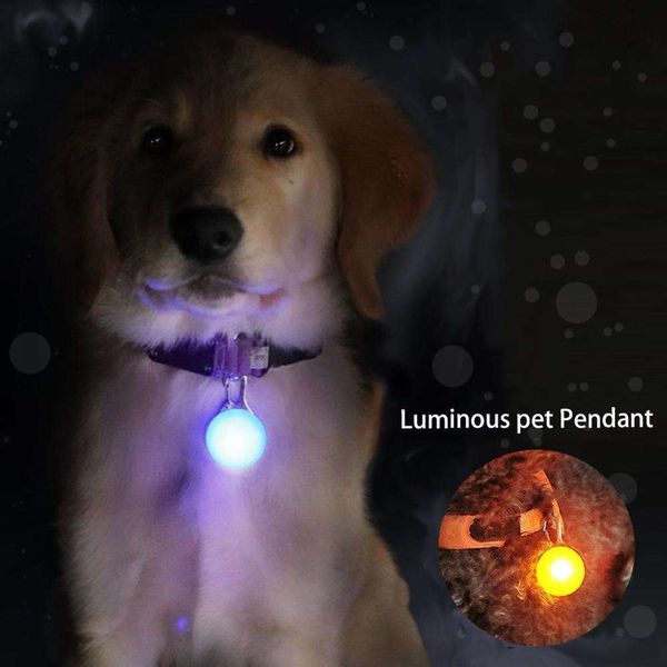 Linda mascota noche seguridad LED linterna Collar perro guía luces
