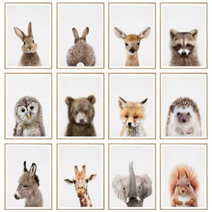 Schattig konijn herten uil beer moderne dieren poster muur canvas foto's schilderen home accessoires poster decor voor kinderen slaapkamer