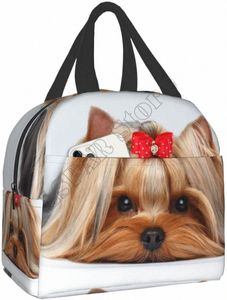 Leuke rib Yorkie Love Dog Lunch Bags For Women Boy Girl Herbruikbare geïsoleerde lunchbox Geschikte Travel Work Picnic Beach Office V4DT#