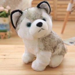 Leuke simulatie Husky Doll Plush Toy Puppy Dog Cute Two Doll Doll -cadeau