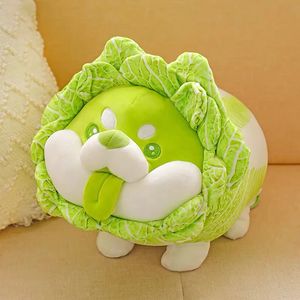 Jouets en peluche de fée végétale mignonne Japonais chien de chou japonais moelleux somba inu oreiller en peluche en peluche pour enfants cadeaux de bébé 240411