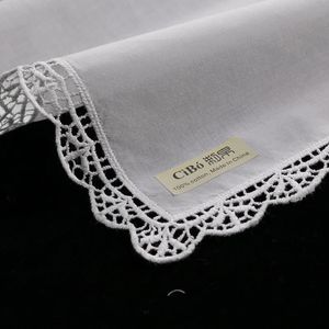 D003 White Premium Cotton 10 Pieces Mandkerchiefs Blank Crochet Hankies For Womenladies Gift Gift 240401