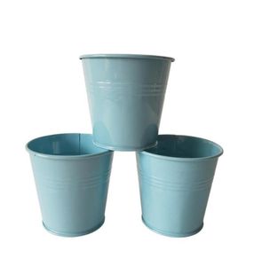 D9xh8cm mini metalen potten tin vetplanten plantenschiefgift emmers lichtblauw ijzeren paaseieren potten feestje gunst houder1074171