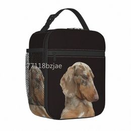 sacs à lunch isolés de teckel Isulaté SAG THERMAL MEAL CORTAINER WIENER SAUSAGE DOXIE DOG DORT TOTE BOX LANCH BOX FOOD Rangement de rangement Collège I0er #