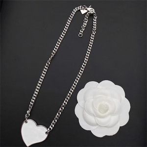 sierlijke zilveren ketting voor vrouwen mode sieradenketen trendy vergulde ketens ontwerper charme hanger ketting luxe merk bruiloft kerstcadeau