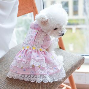 Daisy Designer Dog Kleding Girl Jurken Lace Edge Summer Spring Tutu Rok voor Kittens Sweet Pink Princess Cat Pet Duiding 240402