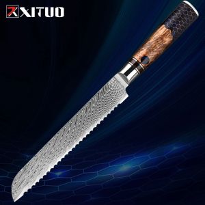 Couteau de pain Damas 8 pouces couteau dentelé pointu, Damas Steel Blade Kitchen Knife exquis Ergonomics Handle, idéal pour le cadeau