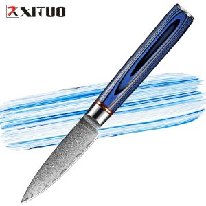 Damas Pariant Couteau de 3,5 pouces professionnel du couteau d'utilité japonaise Bleu G10 Handle Ultra Sharp Fruit Scarving Knife Kitchen Cut