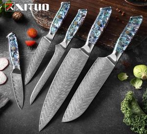 Damas Steel Knife Set Cuisine Chef couteau japonais Steel Vg10 Super Sharp Santoku Couteaux ANSIAGE COUTEAU EXQUISITE Handle New2196889