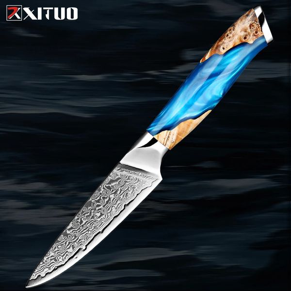 Cuchillo de pelar de acero de Damasco, cuchillo de cocina pequeño de 3,5 pulgadas, maquinilla de afeitar, cuchillo de fruta afilado, acero VG10, 67 capas, mango ergonómico completo 240118