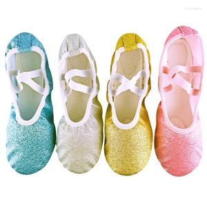Chaussures de danse 2024 Ballet rose bleu paille