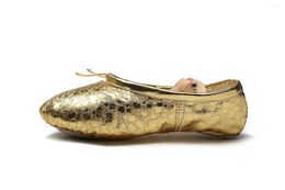 Dance Shoes Brand Gold Silver Leather Femen's Belly Girls Ballet Ballet Cuerpo de entrenamiento