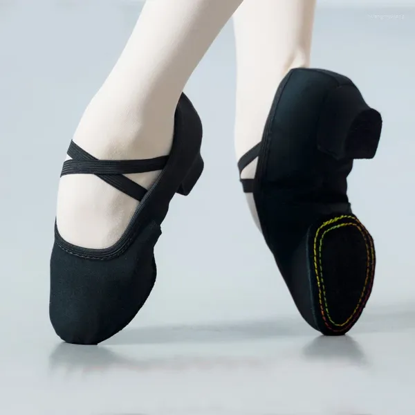 Chaussures de danse Femmes ethniques Soft Teacher Practice Ballet Adult Figure Yoga Sneakers classiques