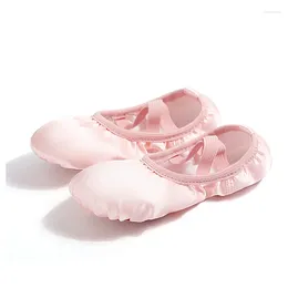 Dansschoenen Kwaliteit Ballet Blauw Roze Kleur Spunlace Tas Voor Meisjes Ballerina Pointe Tassen Accessoires