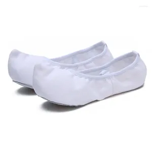 Dansschoenen ushine kwaliteit canvas cowhide lederen zolen klassieke ballet indoor oefening yoga gogo Koreaanse vrouw man