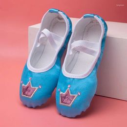 Chaussures de danse en gros OEM Crown bleu chair rose pliable pour les filles chaussures professionnelles de ballet de haute qualité de haute qualité