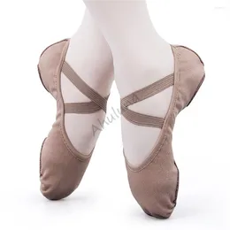 Chaussures de danse femmes filles ballet étirement tissu plat toile extensible tissu tissu supérieur baskets pour adultes enfants ds117