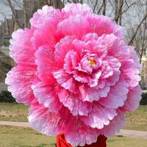 Dance Umbrella 3D Dance Performance Peony Flower Umbrella Chinese Multi Layer Cloth Umbrellas Stage Props KKA7135