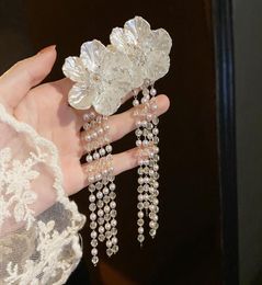 Boucles d'oreilles à fleur de lustre en peluche de lustre femelle femelle coréenne de tempérament de perle de cristal long brincos 2021 bijoux tendance cadeau 9285922