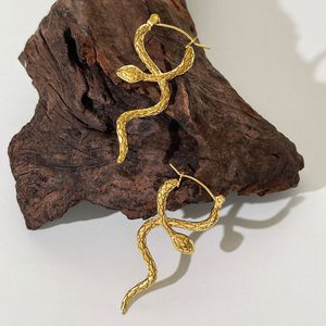 Dangle Chandelier Minar Hip Hop Rock Gold Color Metallic Twist Snake Drop Earrings para Mujer Mujer 18K PVD Plated Steel Long Earring 230614