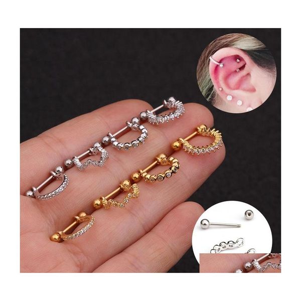 Dangle Lustre En Acier Inoxydable Oreille Piercing Bijoux Cz Cartilage Stud Helix Rook Conch Vis Retour Boucles D'oreilles Pour Les Femmes Mix Taille A Dhmji