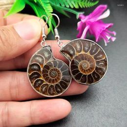 Boucles d'oreilles pendantes 5 paires, ammonite naturelle, coquille d'escargot, pierre de guérison, crochet à la mode, bijoux pour femmes