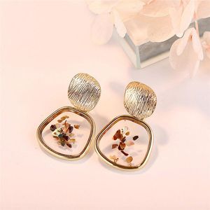 Bengelen oorbellen acryl schildpad Koreaans 2023 voor vrouwen hars ronde drop oorr earring brincos geometrische mode -sieraden