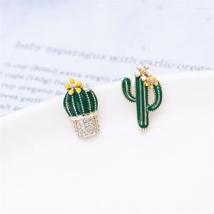 Boucles d'oreilles pendantes asymétrique vert Cactus goujon pour fille mode désert plantes oreille goujons marque Design femmes goutte à goutte bijoux