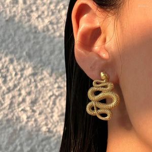 Boucles d'oreilles pendantes en acier inoxydable pour femmes, grand Serpent, Punk, Cool, minimaliste, bijoux