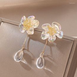 Bengle oorbellen Bijoux femme Koreaanse mode piercing bloem lang voor vrouwelijke sieraden accessoires pendientes aretes de mujer brincos joyas