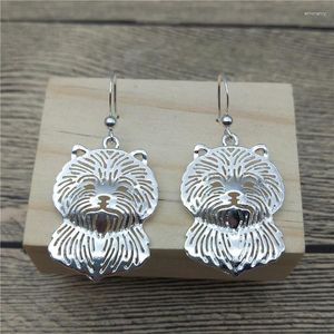 Boucles d'oreilles pendantes Cairn Terrier goutte Style tendance mode chien de compagnie femmes bijoux