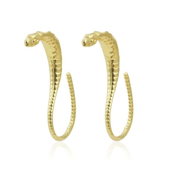 Boucles d'oreilles pendantes lustre à la mode personnalité exagérée forme de serpent pour les femmes mode en forme de C femme JewelryDangle