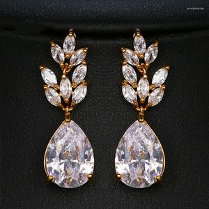 Dange oorbellen klassiek luxe zirkoon voor vrouwen traan kristal kubieke zirconia lange oorrang verjaardag geschenk sieraad sieraden