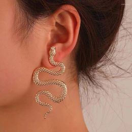 Boucles d'oreilles pendantes serpent exagéré pour femmes, Punk géométrie métal Animal goutte accessoires Bar bijoux de fête d'anniversaire