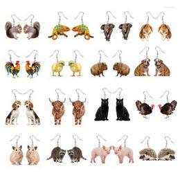 Boucles d'oreilles pendantes F19D exquis Animal Dragon acrylique mignon Labrador chien Adorable Cool boucle d'oreille fille drôle bijoux