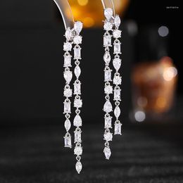 Boucles d'oreilles pendantes mode Zircon cubique géométrique incrusté Long gland mariage fête d'anniversaire bijoux LYB002