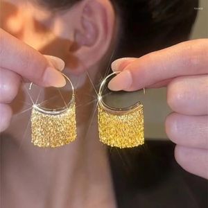 Boucles d'oreilles pendantes mode coréenne longue chaîne Bling déclaration couleur or gland goutte pour les femmes bijoux de mariage cadeau E432