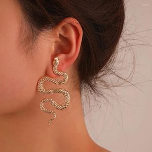 Boucles d'oreilles pendantes à la mode en métal exquis exagéré rétro serpent style gothique vent froid tendance hip hop cadeau d'anniversaire pour femme