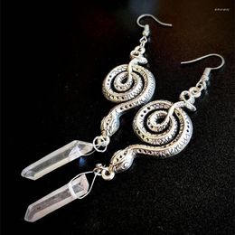 Dangle Oorbellen Goth Slangen Drop Magical Clear Stone Set Serpent Gothic Verklaring Klassieke Mode-sieraden Vrouwen Gift 2023