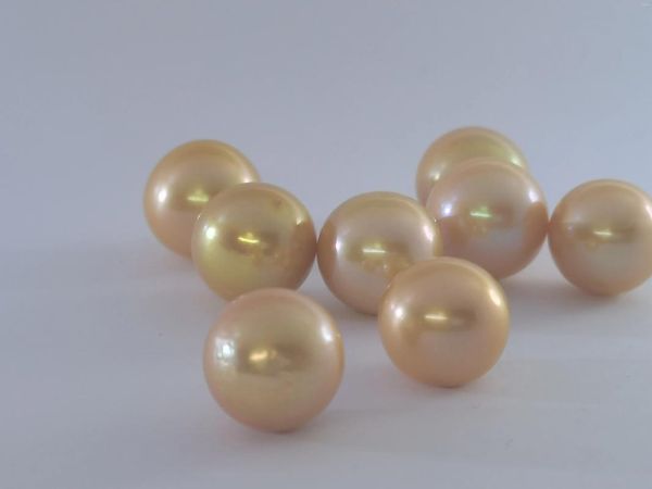 Pendientes colgantes ENORME AGRADABLE 13-14 mm Redondo Natural Mar del Sur Pendiente de perlas doradas Oro amarillo de 14 quilates